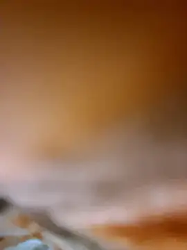 aman4404 online show from January 8, 5:21 am