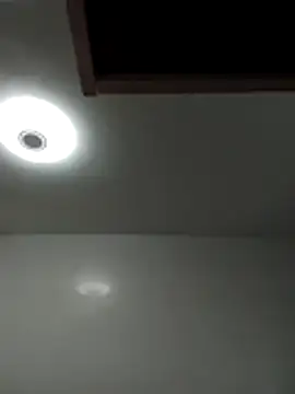 zeur online show from January 15, 12:10 pm