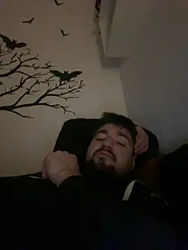 LienalWarplane online show from February 26, 1:59 am