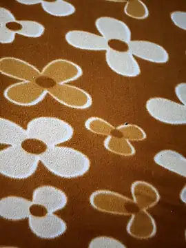 sweety 1433 online show from January 7, 8:06 am