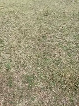 Snapshot of Tamilpaiyan07 chatting on February 1, 3:49 am Tamilpaiyan07 online show from February 1, 3:49 am