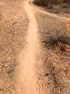 Snapshot of Tamilpaiyan07 chatting on February 8, 5:55 am Tamilpaiyan07 online show from February 8, 5:55 am