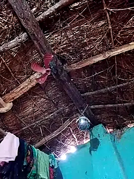 Rajni hote online show from February 13, 5:14 am