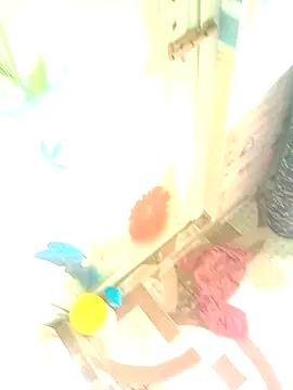 Snapshot of Hooghlypinkivabi chatting on January 10, 7:32 am Hooghlypinkivabi online show from January 10, 7:32 am