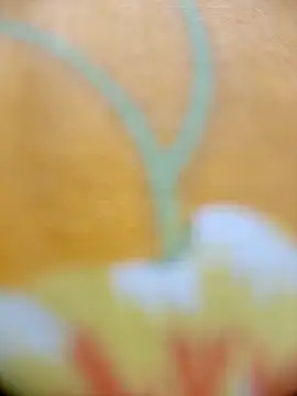 Snapshot of Hooghlypinkivabi chatting on February 20, 2:28 pm Hooghlypinkivabi online show from February 20, 2:28 pm