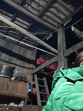 Snapshot of dakota-kis chatting on February 1, 11:53 am dakota-kis online show from February 1, 11:53 am