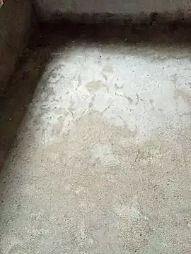 Snapshot of dakota-kis chatting on February 4, 11:53 pm dakota-kis online show from February 4, 11:53 pm