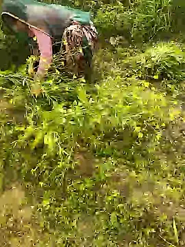 Snapshot of hornycouple20000 chatting on January 8, 5:43 am hornycouple20000 online show from January 8, 5:43 am