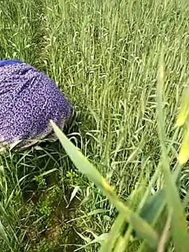 Snapshot of hornycouple20000 chatting on February 1, 6:45 am hornycouple20000 online show from February 1, 6:45 am