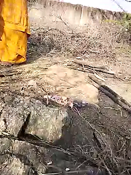 Snapshot of hornycouple20000 chatting on February 3, 9:58 am hornycouple20000 online show from February 3, 9:58 am