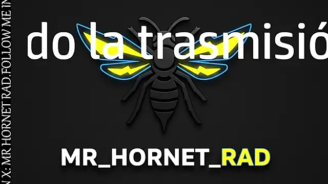 s hornet online show from April 8, 2:39 pm