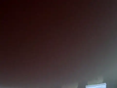 Sarah no land online show from March 27, 2:17 pm