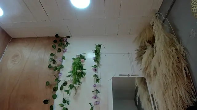 Snapshot of Alice_randyy chatting on February 10, 1:04 pm Alice randyy online show from February 10, 1:04 pm