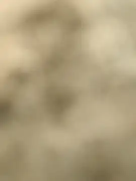 Snapshot of Pagelboy_089 chatting on February 15, 9:30 am Pagelboy 089 online show from February 15, 9:30 am