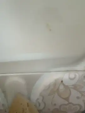 Snapshot of Pagelboy_089 chatting on February 19, 8:43 am Pagelboy 089 online show from February 19, 8:43 am