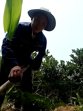 vanvan005 online show from April 8, 3:17 am