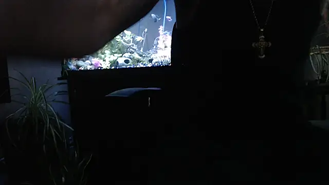 EspanolVato online show from April 2, 11:46 pm