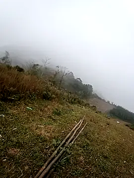 Snapshot of him220 chatting on February 15, 1:02 am him220 online show from February 15, 1:02 am