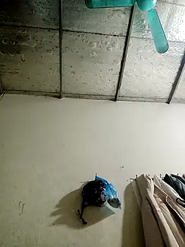 Sana-vn online show from January 15, 1:48 pm