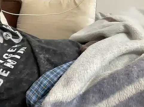 Snapshot of mdlaif1111 chatting on February 10, 1:43 am mdlaif1111 online show from February 10, 1:43 am