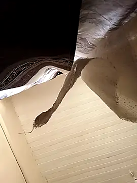 Snapshot of shanicollete chatting on January 15, 4:28 am shanicollete online show from January 15, 4:28 am