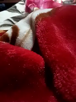 soybur online show from January 7, 10:40 am