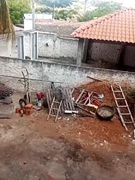     gozada---- online show from January 13, 11:04 am