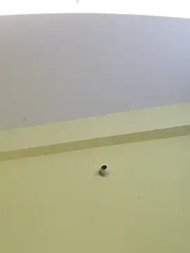 trinasa online show from April 8, 7:47 pm