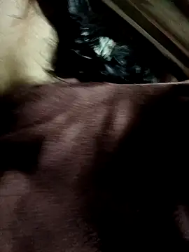 Snapshot of yu--yo chatting on March 21, 3:44 am yu--yo online show from March 21, 3:44 am