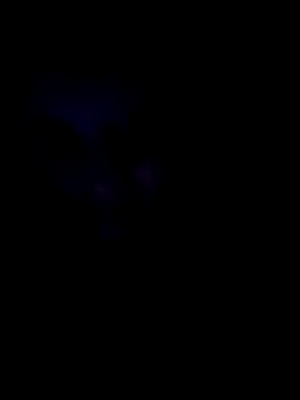 Snapshot of Sonja200 chatting on January 8, 12:13 am Sonja200 online show from January 8, 12:13 am