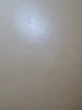 TRACYTOTO26 online show from February 17, 3:58 am