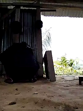 Ginny 2x online show from March 16, 4:07 am