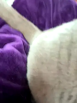 cdfemnaty online show from January 9, 10:07 am