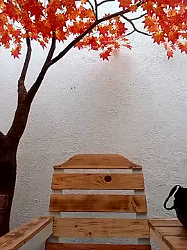 Snapshot of Dante_Knox chatting on February 15, 11:52 am Dante Knox online show from February 15, 11:52 am