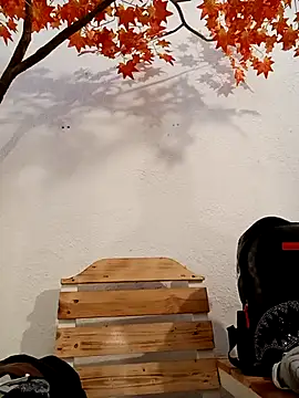 Dante Knox online show from March 16, 11:14 am