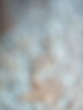 talytah online show from February 19, 9:27 am