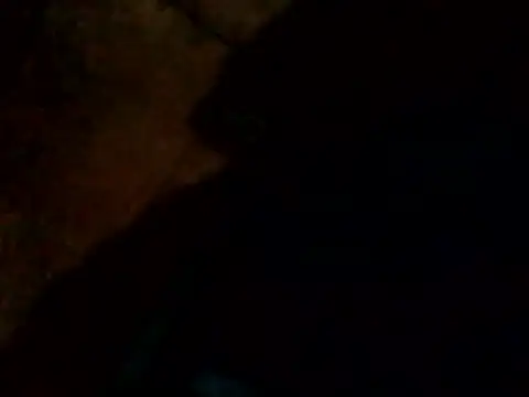 Guanatos13 online show from February 24, 4:21 am