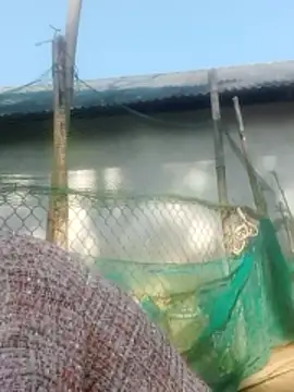 Snapshot of jjennyyy chatting on January 12, 3:23 am jjennyyy online show from January 12, 3:23 am