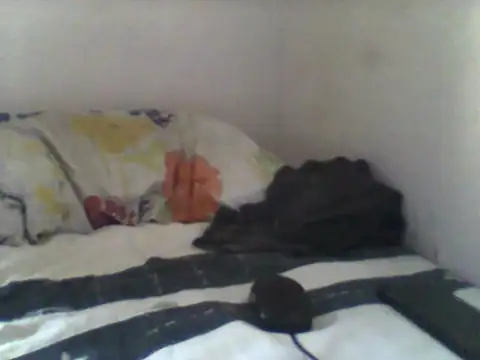 Snapshot of handsomeguy02 chatting on April 14, 2:45 pm handsomeguy02 online show from April 14, 2:45 pm