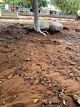 lunarous98 online show from January 13, 5:18 pm