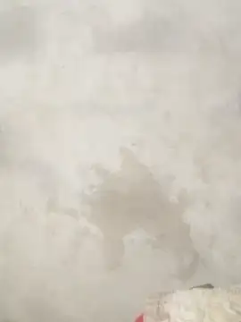 Savi-cute online show from February 21, 12:33 am