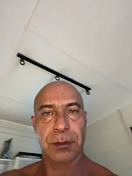 dogfrota online show from March 8, 5:39 pm