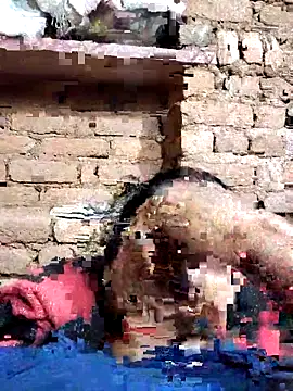 Snapshot of Hot_di97 chatting on February 14, 8:38 pm Hot di97 online show from February 14, 8:38 pm