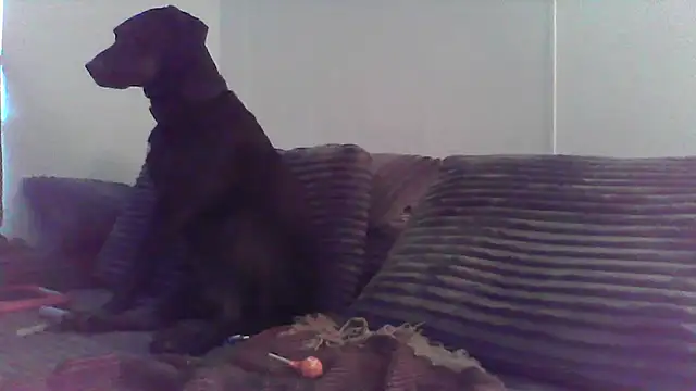 HungandHynotic online show from March 3, 1:01 am