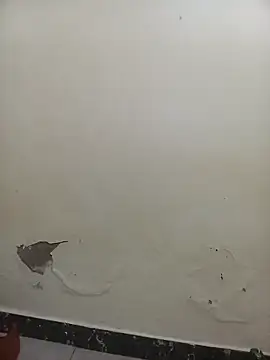 PatriciaVen online show from February 7, 5:44 am