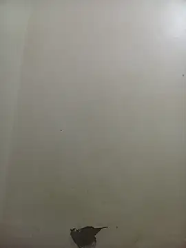 PatriciaVen online show from February 10, 4:05 am