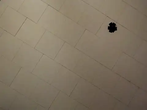 sterng6969 online show from April 9, 8:09 am