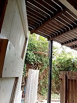 Snapshot of dicklife3485 chatting on February 24, 8:23 am dicklife3485 online show from February 24, 8:23 am