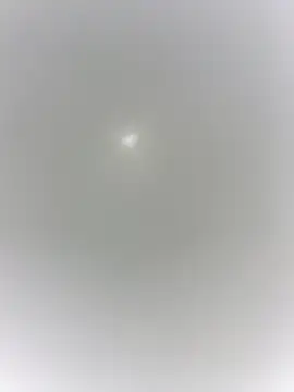 sharck12 35 online show from January 18, 11:14 am