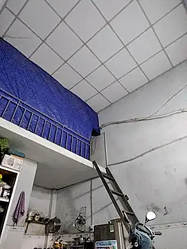 Famrita online show from January 19, 1:31 am